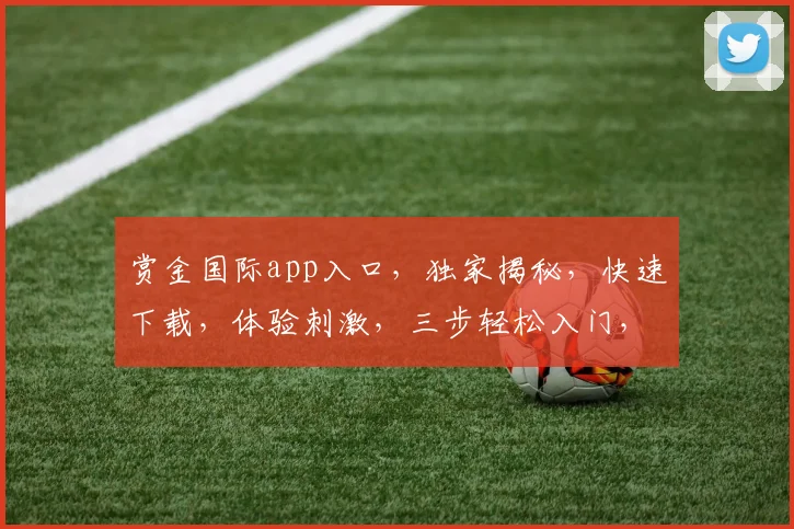 赏金国际app入口，独家揭秘，快速下载，体验刺激，三步轻松入门，不容错过