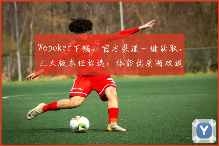 Wepoker下载，官方渠道一键获取，三大版本任你选，体验优质游戏逗逗乐，逗逗乐逗逗乐