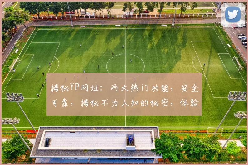 揭秘YP网址：两大热门功能，安全可靠，揭秘不为人知的秘密，体验独特