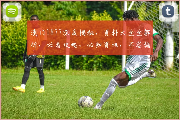 澳门1877深度揭秘，资料大全全解析，必看攻略，必知资讯，不容错过